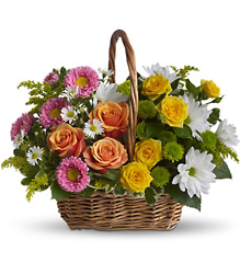 Sweet Tranquility Basket from Philips' Flower & Gift Shop